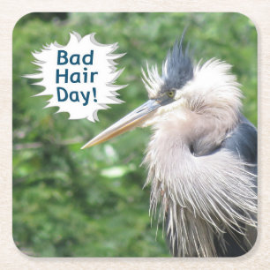 Great Blue Heron Untersetzer