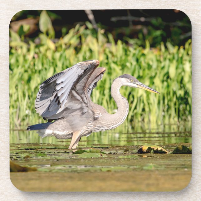 Great Blue Heron Untersetzer (Vorderseite)