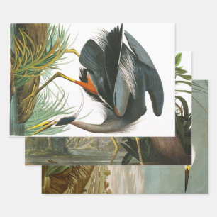 Great Blue Heron von John James Audubon Dekpupupup Geschenkpapier Set