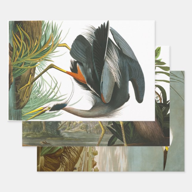 Great Blue Heron von John James Audubon Dekpupupup Geschenkpapier Set (Set)