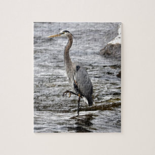 Great Blue Heron Wildlife Birdlover Foto Puzzle
