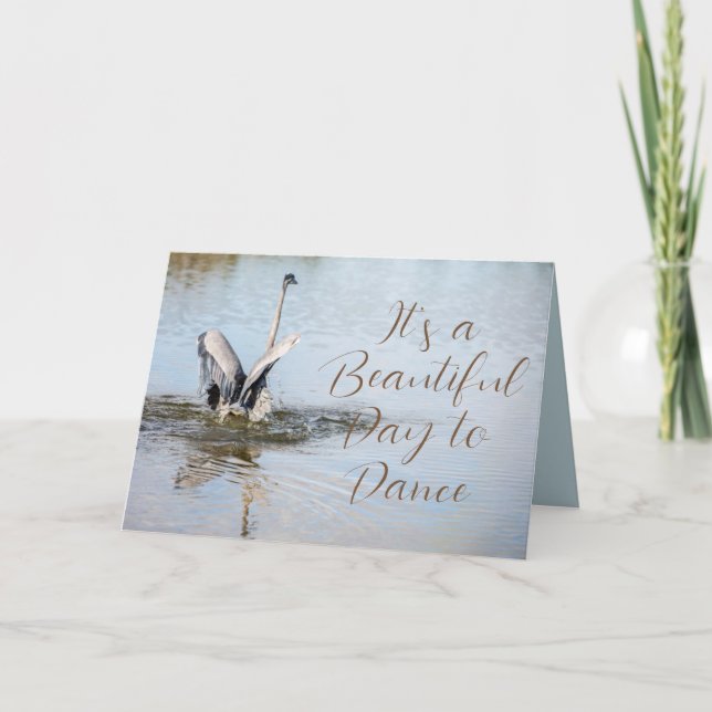 Great Blue Heron Wings Spread on Water Karte (Vorderseite)