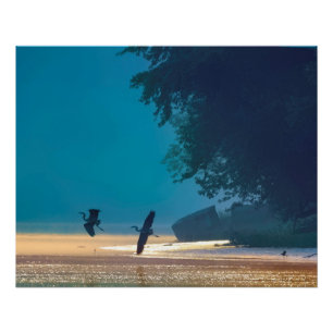 Great Blue Herons Take Flight -Teal Poster