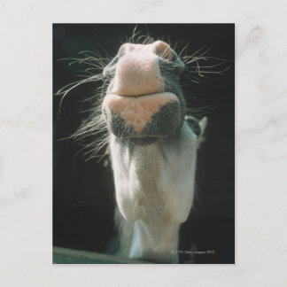 Great Britian Postkarte