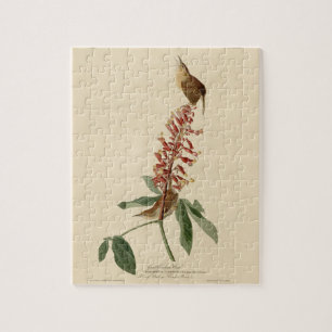 Great Carolina Wren - Audubons Vögel in Amerika Puzzle