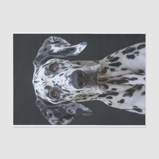 Great Dane1 Seidenpapier (Vorderseite)