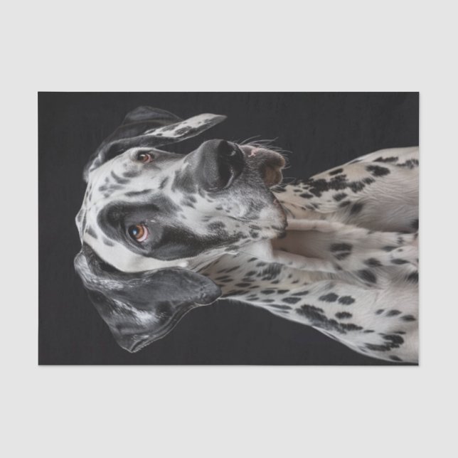 Great Dane2 Seidenpapier (Vorderseite)