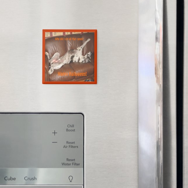 Great Dane Ate zu viel Halloween Candy Magnet (In Situ (Kühlschrank))