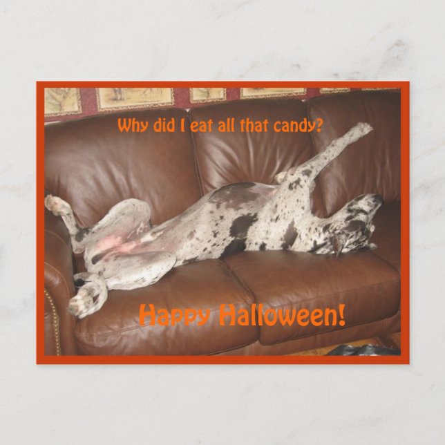 Great Dane Ate zu viel Halloween Candy Postkarte (Vorderseite)