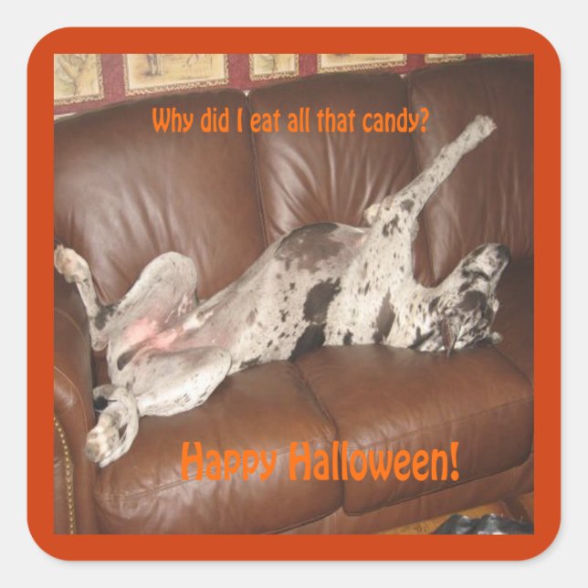 Great Dane Ate zu viel Halloween Candy Quadratischer Aufkleber (Vorderseite)