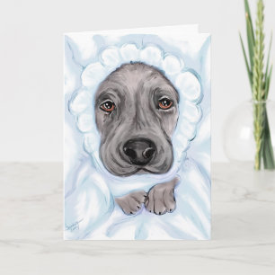 Great Dane Baby Black Boy Ankündigungen