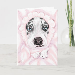 Great Dane Baby Harlequin Girl Ankündigungen