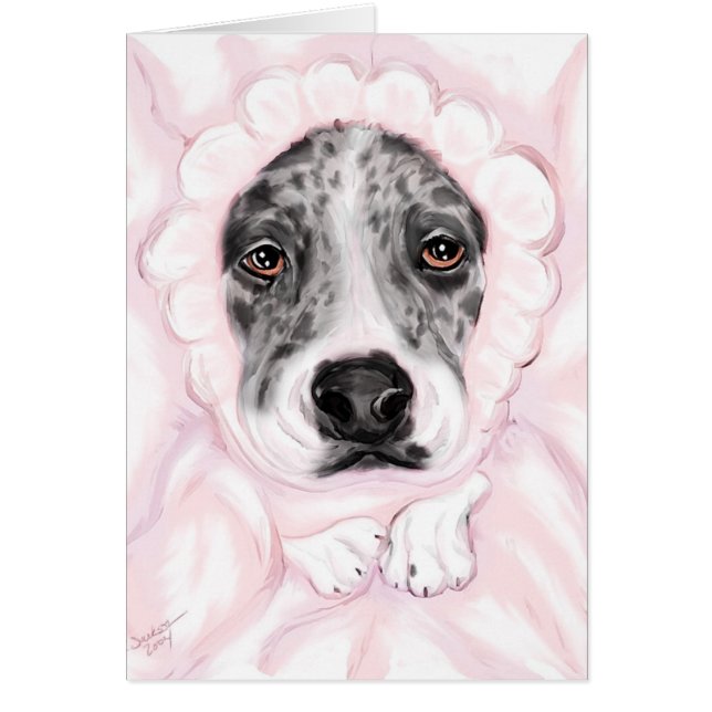 Great Dane Baby Mantled Merle Girl Ankündigungen (Vorne)