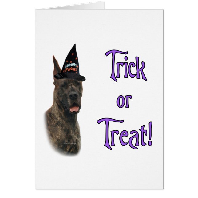 Great Dane (Bindle) Trick (Vorne)