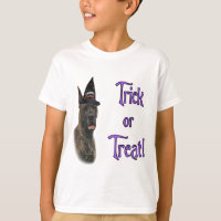 Great Dane (Bindle) Trick