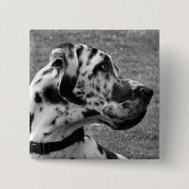 GREAT DANE BUTTON (Vorderseite)