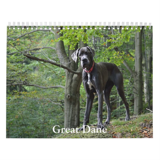 Great Dane Calendar Kalender (Titelbild)