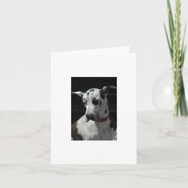 Great Dane Card jeder Anlass Karte (Vorderseite)