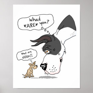 Great Dane & Chihuahua Mantle Poster