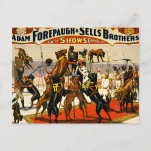 Great Dane Circus Show Postkarte
