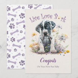 Great Dane Dog Adoption, Gotcha Day Karte