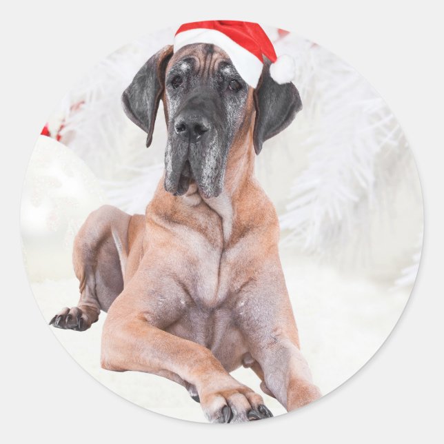 Great Dane Dog Hat frohe Weihnachten Runder Aufkleber (Vorderseite)