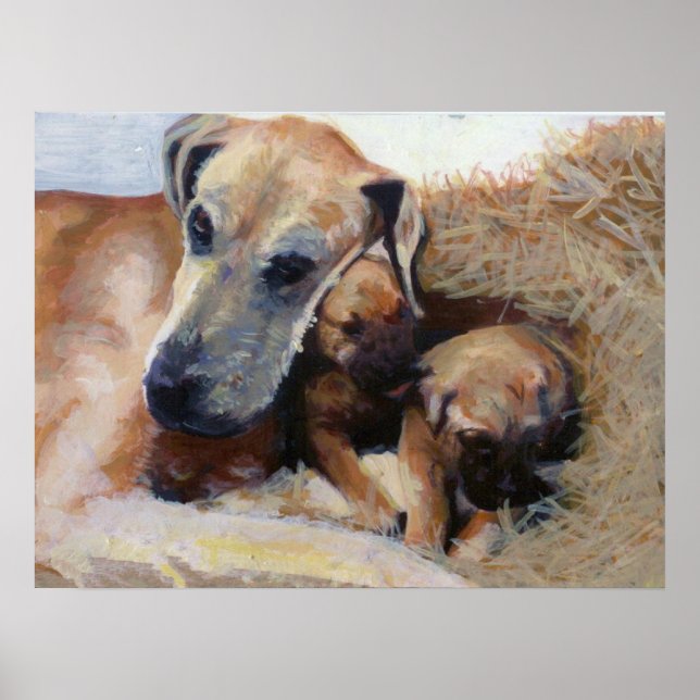 Great Dane Dog Portrait Poster (Vorne)