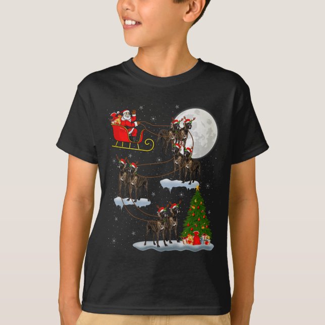 Great Dane Dog Santa Sleigh Flying Funny Magical C T-Shirt (Vorderseite)
