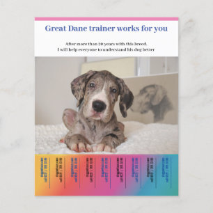 Great Dane Dog Trainer Flyer