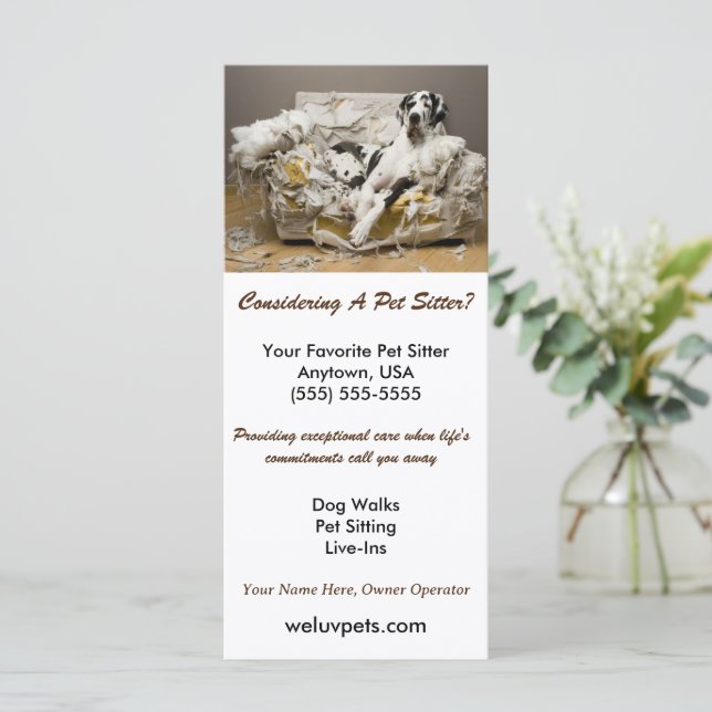 Great Dane entspannt auf kauen Sofa Sitzgelegenhei (Stehend Vorderseite)