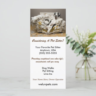 Great Dane entspannt auf kauen Sofa Sitzgelegenhei