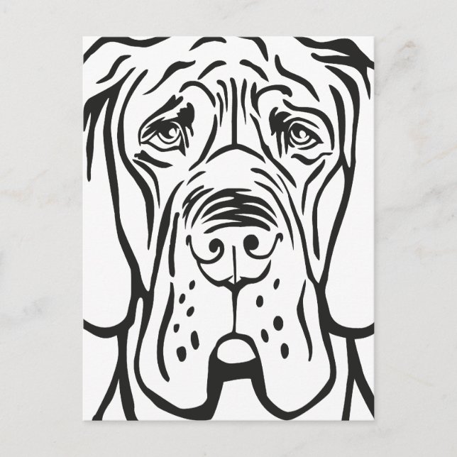 Great Dane Face Postkarte (Vorderseite)