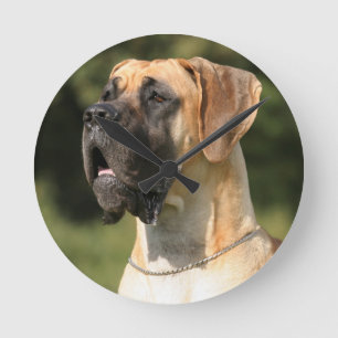 Great Dane - fawn / Deutsche Dogge - gelb Runde Wanduhr