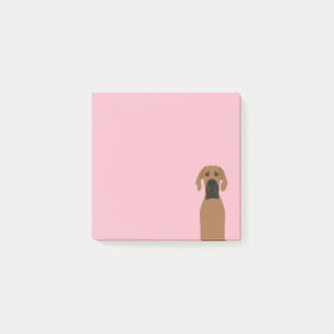 Great Dane Fawn Dog Post-it Klebezettel