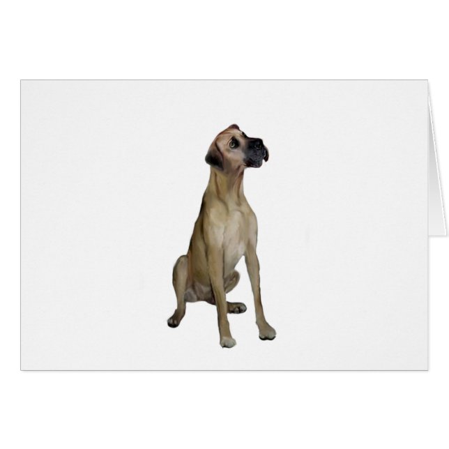 Great Dane - FawnSit - natürliche Ohren (Vorderseite (Horizontal))