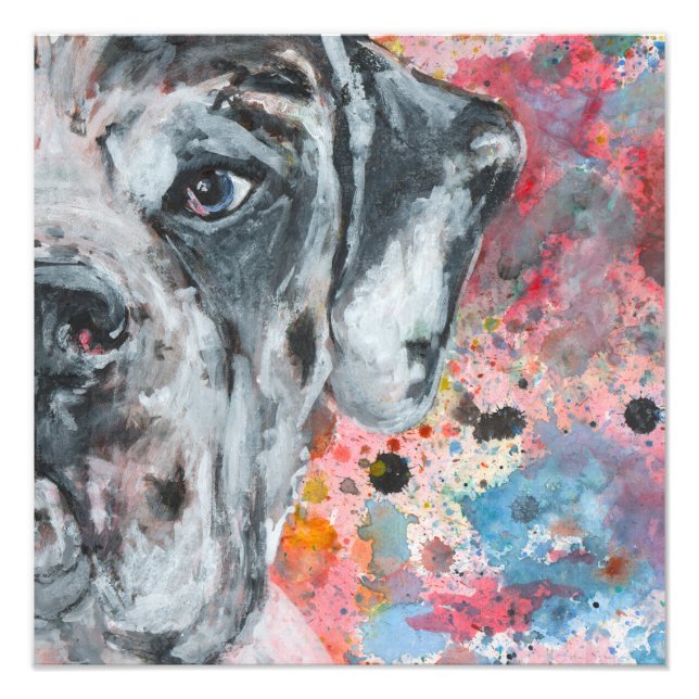 Great Dane Fotodruck (Vorne)