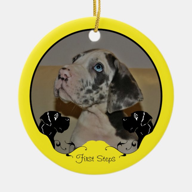 Great Dane Fotografic Ornament (Vorne)