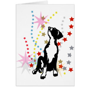 Great Dane Funny Stars