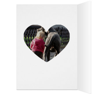 Great Dane Geburtstag  