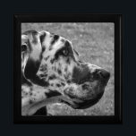 GREAT DANE GESCHENKBOX<br><div class="desc">Ein schönes Schwarz-Weiß-Design eines Great Dane Hundes. England UK.</div>