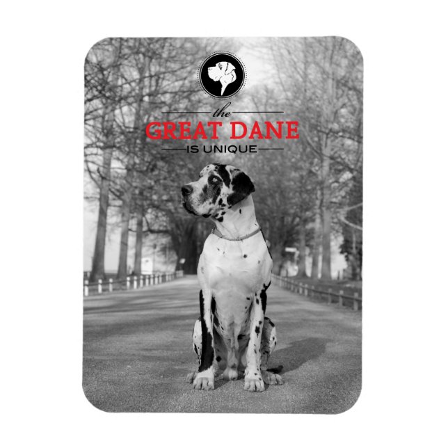Great Dane Graphics Magnet (Vertikal)