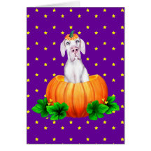 Great Dane Halloween White UC Dane-O-Lantern