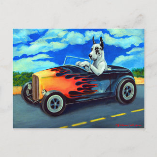 Great Dane Harl Postcards Postkarte