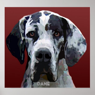 Great Dane Harly Face Poster