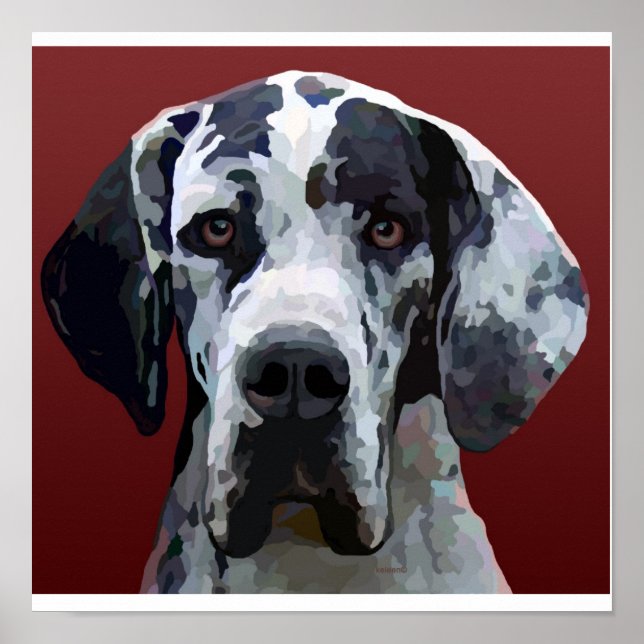 Great Dane Harly Poster 12,5 (Vorne)