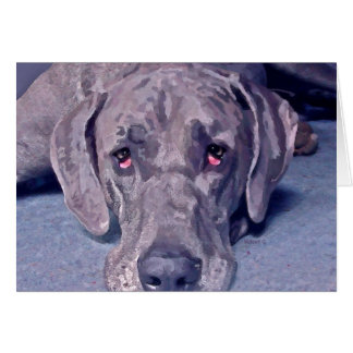 Great Dane Hero