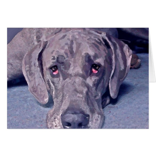 Great Dane Hero (Vorderseite (Horizontal))