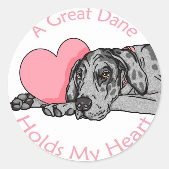 Great Dane Holds Heart Merle UC Runder Aufkleber (Vorderseite)