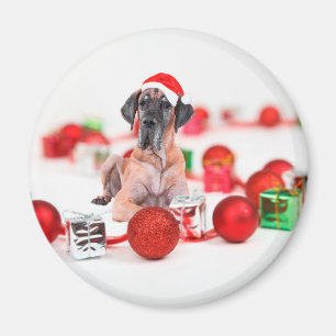 Great Dane Hund mit Weihnachtsgeschenke Magnet