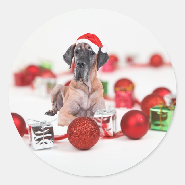 Great Dane Hund mit Weihnachtsgeschenke Runder Aufkleber (Vorderseite)